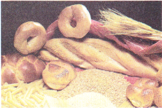 karbonhidratların görevleri