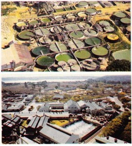 Güney Afrika Cumhuriyeti altın ve elmas