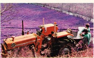 Azotlu gübrenin arkasında hazne olan traktörle dağıtımı