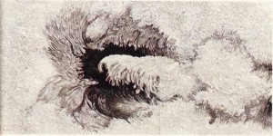 Bir güneş lekesinin yapısı