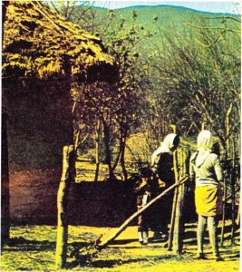 İran'ın Hazar Denizi kıyılarındaki bir köyden görünüş