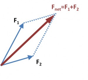 net kuvvet bileşke kuvvet