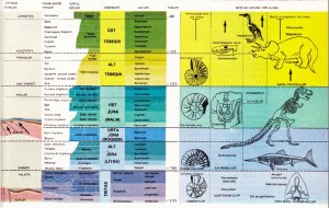 İkinci zaman evreleri tarih  şeridi
