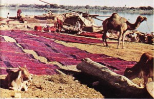 İndus ırmağının kıyılarından bir görünüş