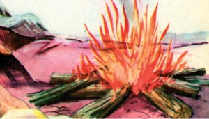 ilk ateşin bulunuşu