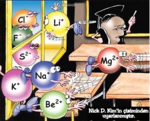 22 karikatür karikatür