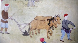 toprağı eken osmanlı çiftçisi