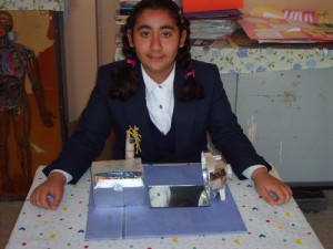 güneş ile ısınan fırın