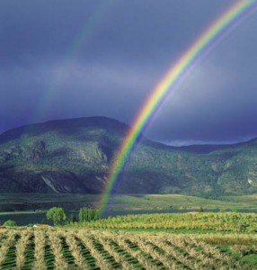 gökkuşağı oluşumu