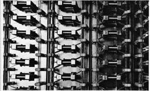 çeviricinin ferritten halkaları