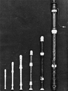 13. YY'dan kalma altı gagalı flüt