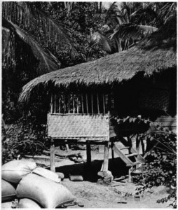 kazıklar üzerine yapıılmış ev