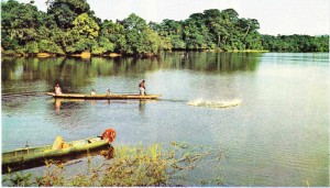 Port-Gentil ve Lambarene arasında Ogooue ırmağı.