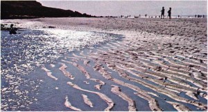 Deauvillede (Fransa) deniz suyunun çekilmesi