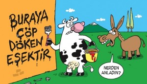 çöp dökenin hali