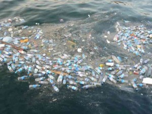 dereye pet şişe atma