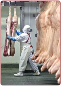 doğal beslenme karkas et