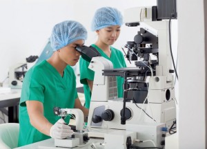 hücredeki değişimler