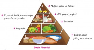 yediklerimizin besin piramidine uygunluğu
