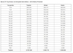 2014 yılı bursa nüfus piramidi