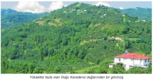 Karadeniz nüfus seyrek yerleşmiştir