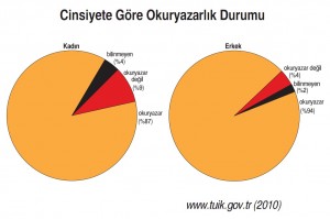 cinsiyete göre okuryazarlık durumu