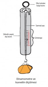dinamometre ve kuvvetin ölçülmesi