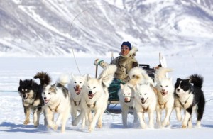 kutup çevresinde ulaşım