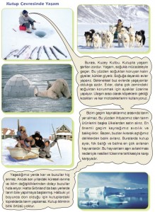 kutup çevresinde yaşam