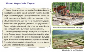 muson asyasında yaşam