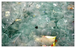 Atık suların oluşturduğu kirlilik sonrası üreyen zararlı canlılar