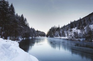 balıklar buzun altında nasıl yaşar
