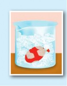 buzlu suya batırılmış balon