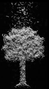 kağıt kesilme fiziksel değişim