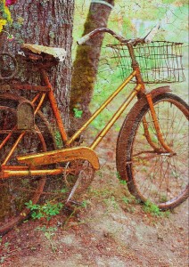 kimyasal değişim bisiklet örneği