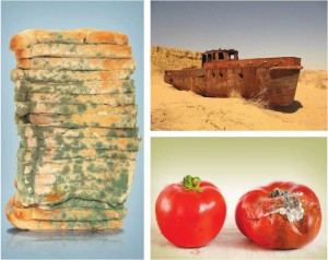 kimyasal değişim örnekleri