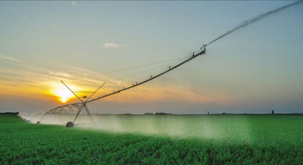 Türkiye tarım ülkesi mi