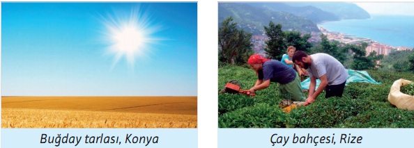 coğrafi özellikler ekonomik faaliyetler ilişkisi