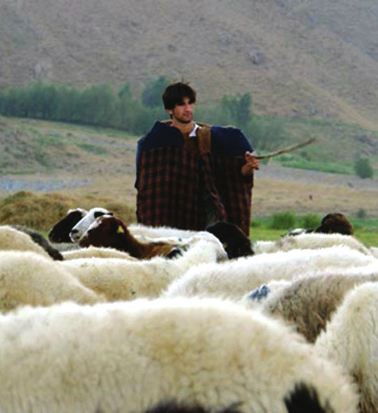 çoban ile röbortaj