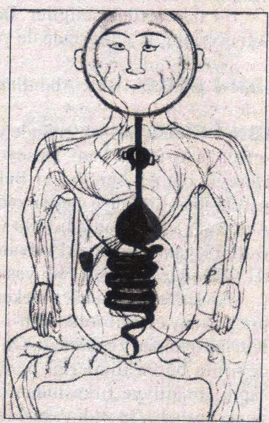 ibni Sinanın sindirim sistemini gösteren çizimi