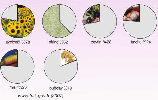marmara tarım ürünlerin ülke ekonomisine katkıları