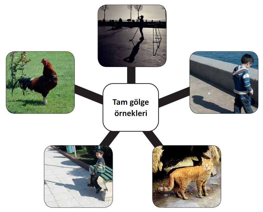 tam gölge örnekleri