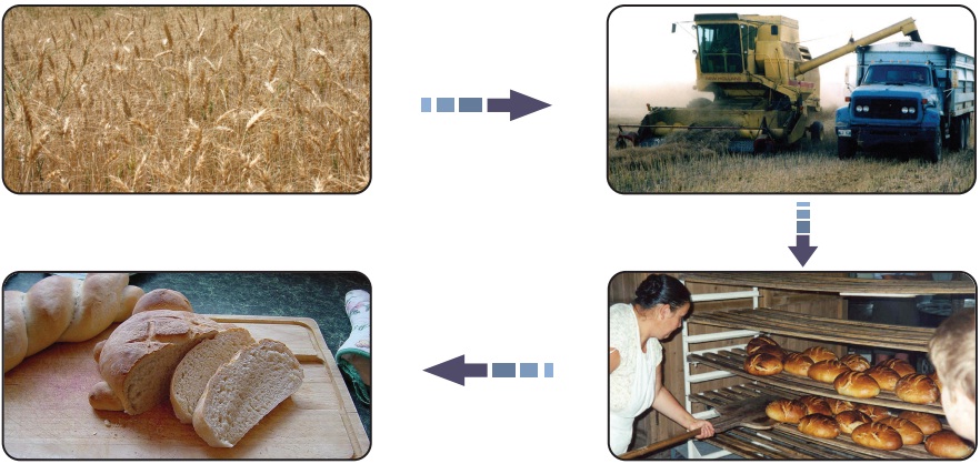 üretime katkıda bulunmak şeması