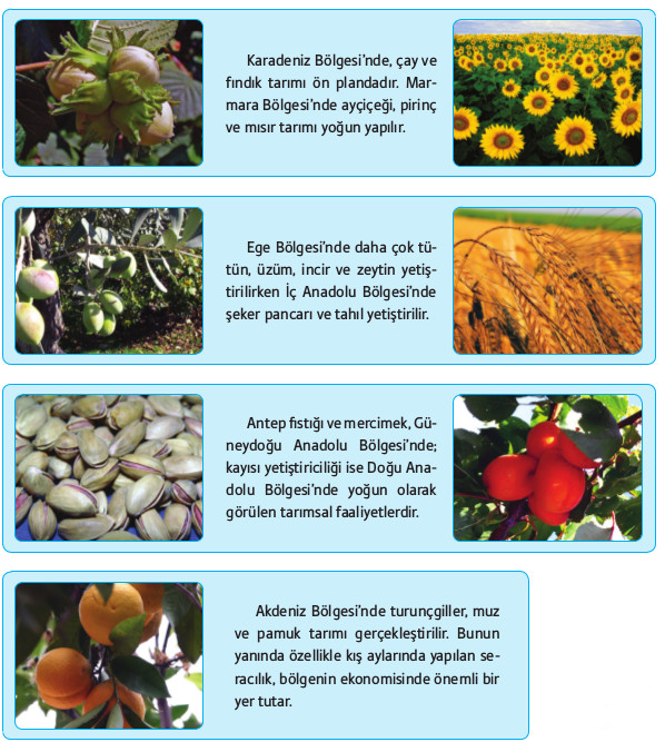 ürün coğrafi şartları