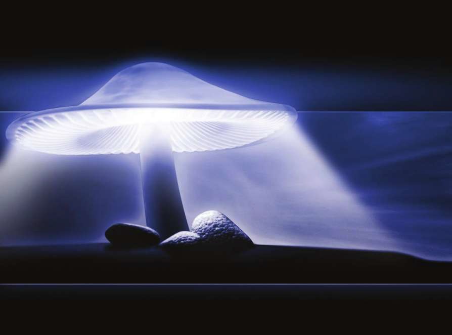 ışığın yansıması