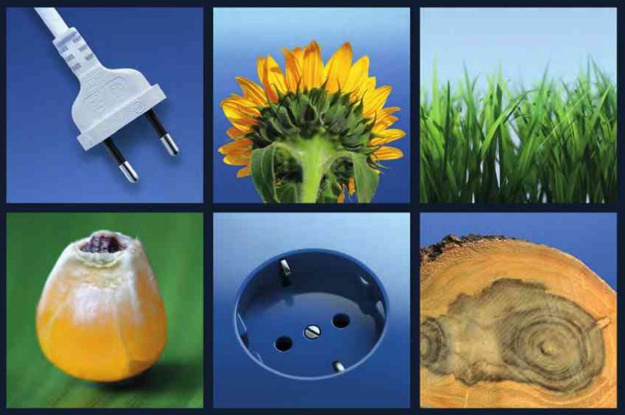 biyokütle enerjisi