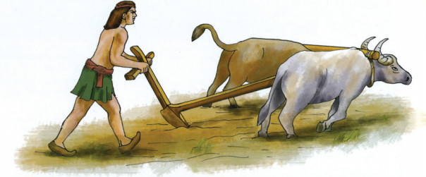 ilkçağlarda toprak kullanımı