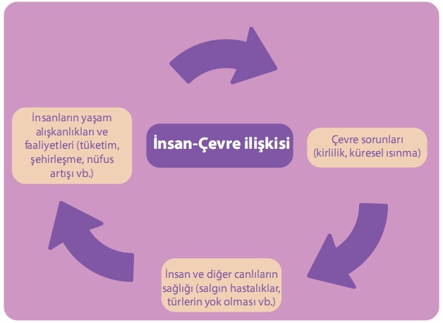 insan çevre ilişki döngüsü