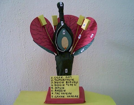 karton çiçek modeli yapımı