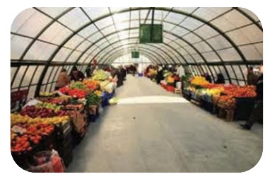 meyvelerin donmaması için su konulması